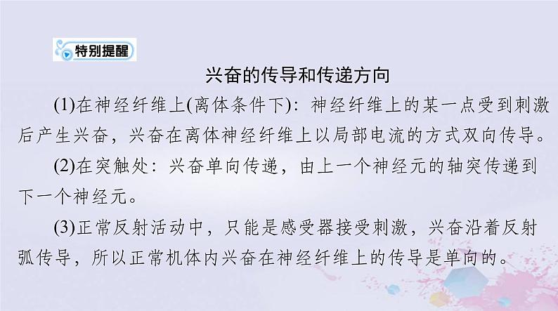 2024届高考生物一轮总复习选择性必修1第2章神经调节第345节神经冲动的产生和传导神经系统的分级调节人脑的高级功能课件第7页