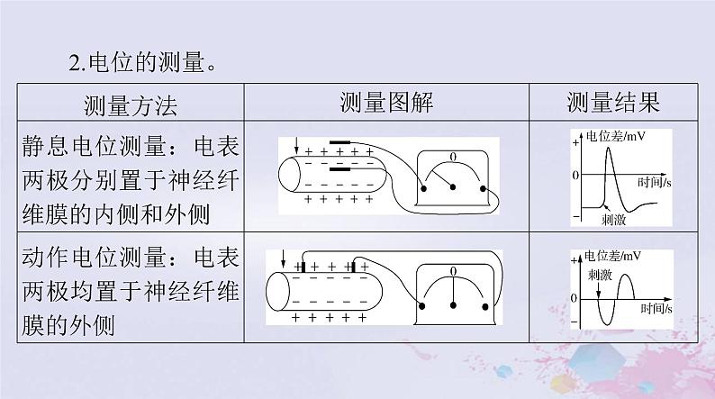 2024届高考生物一轮总复习选择性必修1第2章神经调节第345节神经冲动的产生和传导神经系统的分级调节人脑的高级功能课件第8页