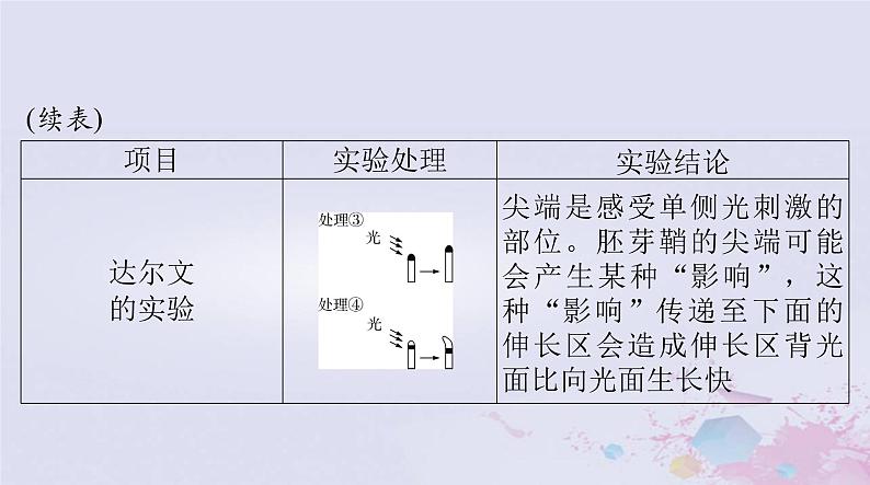 2024届高考生物一轮总复习选择性必修1第5章植物生命活动的调节课件第4页