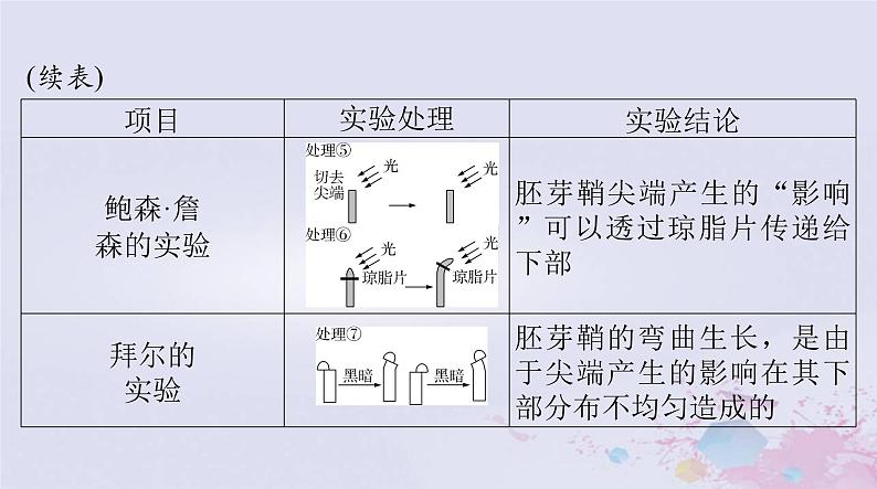 2024届高考生物一轮总复习选择性必修1第5章植物生命活动的调节课件第5页