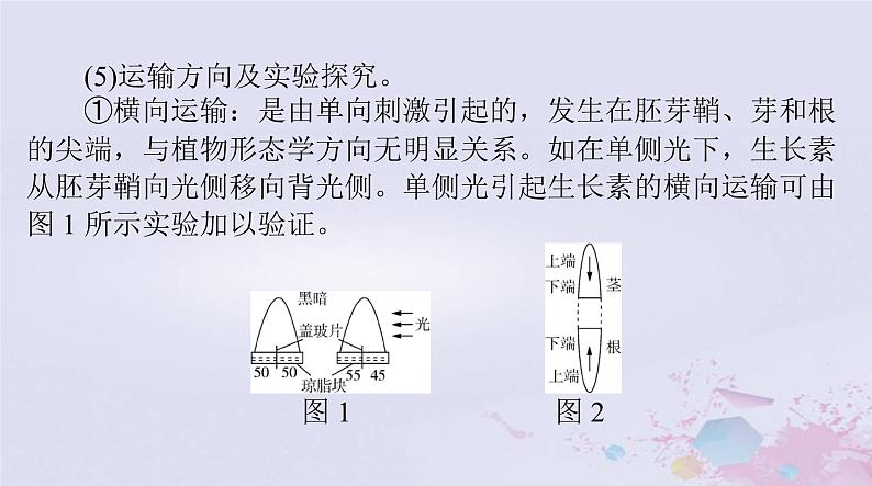 2024届高考生物一轮总复习选择性必修1第5章植物生命活动的调节课件第8页