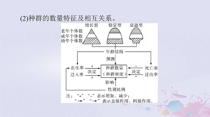 2024届高考生物一轮总复习选择性必修2第1章种群及其动态课件第4页