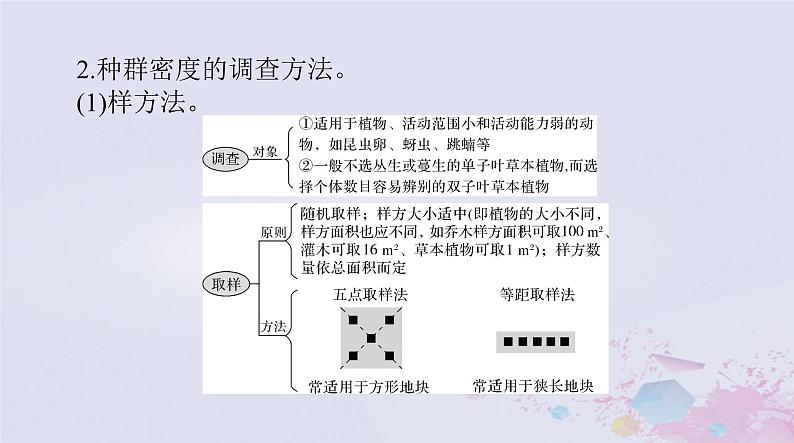 2024届高考生物一轮总复习选择性必修2第1章种群及其动态课件第8页