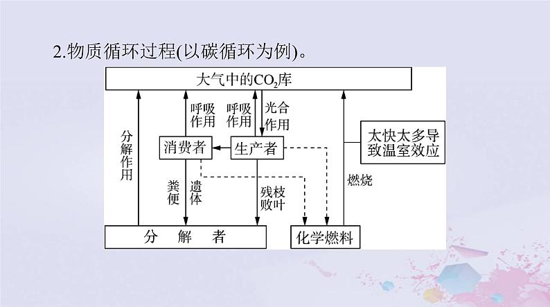 2024届高考生物一轮总复习选择性必修2第3章生态系统及其稳定性第345节生态系统的物质循环信息传递生态系统的稳定性课件03