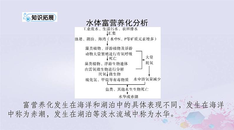 2024届高考生物一轮总复习选择性必修2第4章人与环境课件第8页