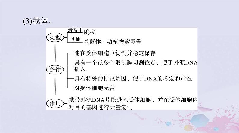 2024届高考生物一轮总复习选择性必修3第34章基因工程生物技术的安全性和伦理问题课件08