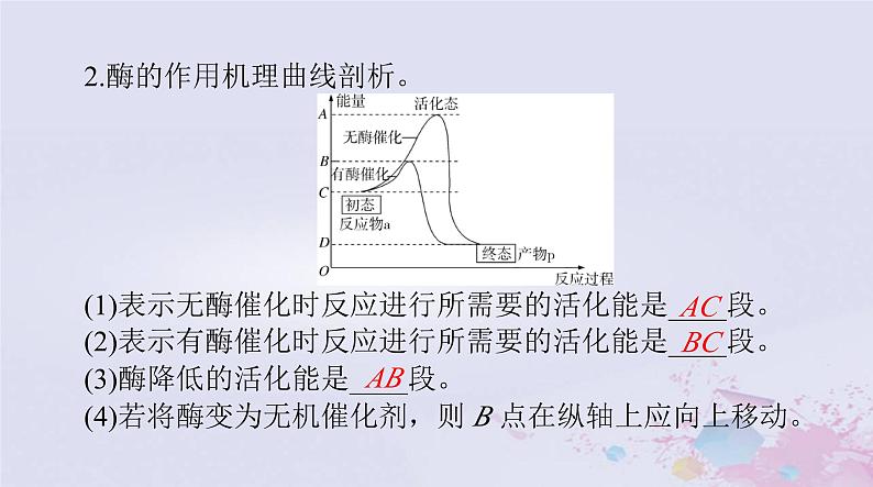 2024届高考生物一轮总复习必修1第5章细胞的能量供应和利用第12节降低化学反应活化能的酶细胞的能量“货币”ATP课件第7页