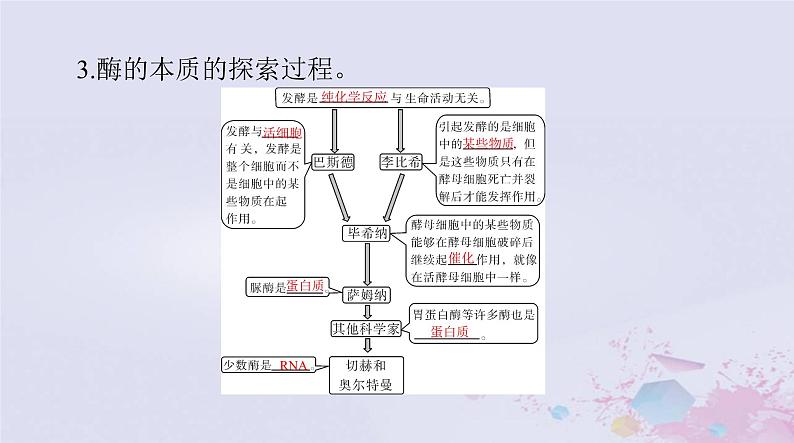 2024届高考生物一轮总复习必修1第5章细胞的能量供应和利用第12节降低化学反应活化能的酶细胞的能量“货币”ATP课件第8页