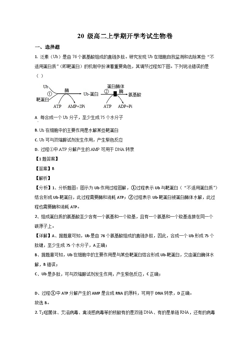 2022莒县一中高二上学期开学考试生物试题含解析01