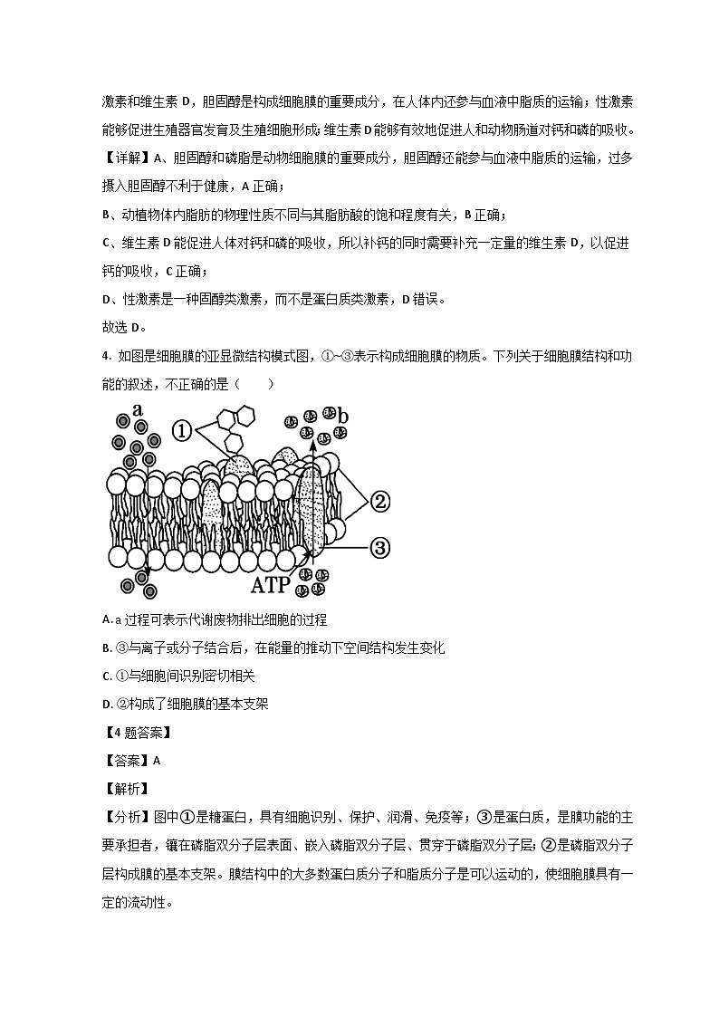 2022莒县一中高二上学期开学考试生物试题含解析03
