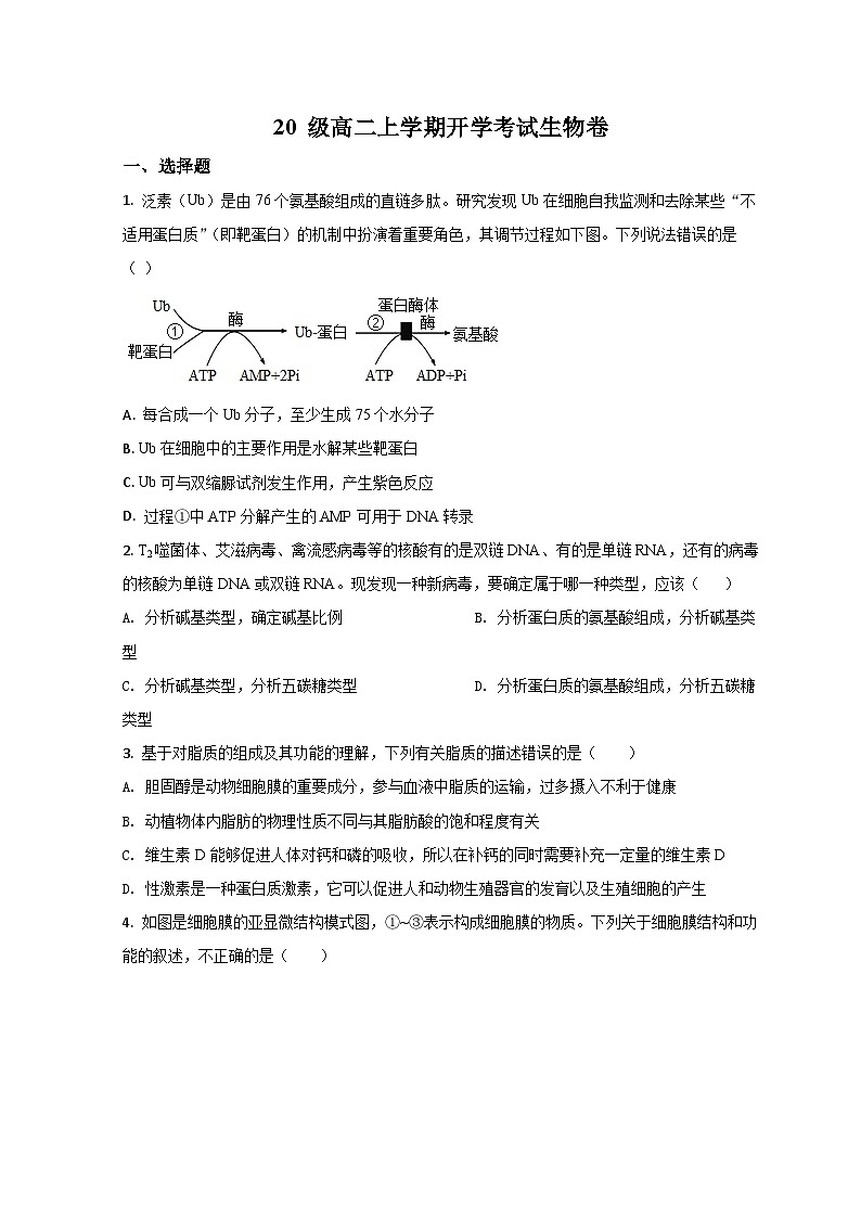 2022莒县一中高二上学期开学考试生物试题含解析01