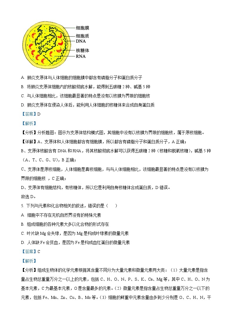 云南省大理州2022-2023学年高一生物下学期质量监测试题（Word版附解析）03