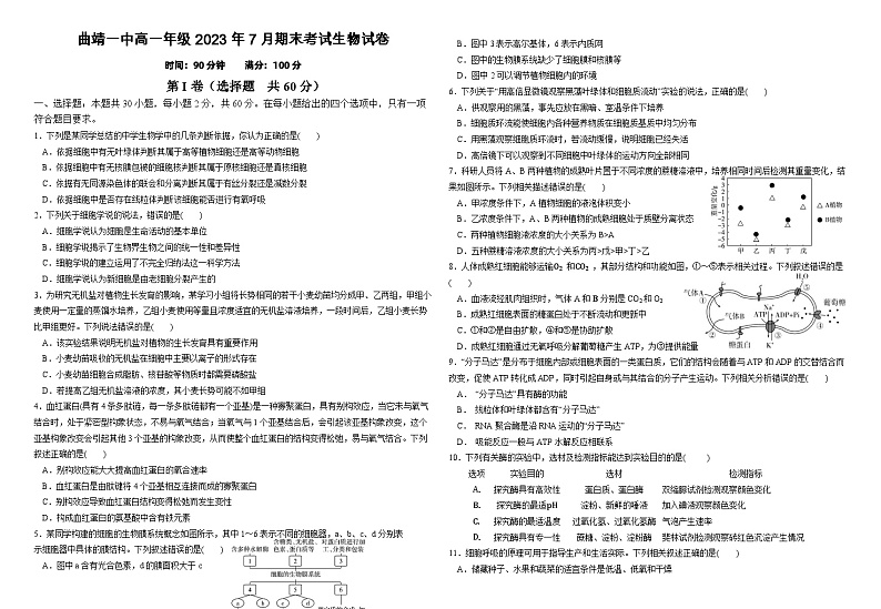 云南省曲靖市第一中学2022-2023学年高一生物下学期期末试题（Word版附答案）第1页