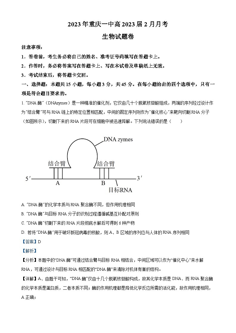 重庆市一中2022-2023学年高三生物下学期2月月考试题（Word版附解析）第1页