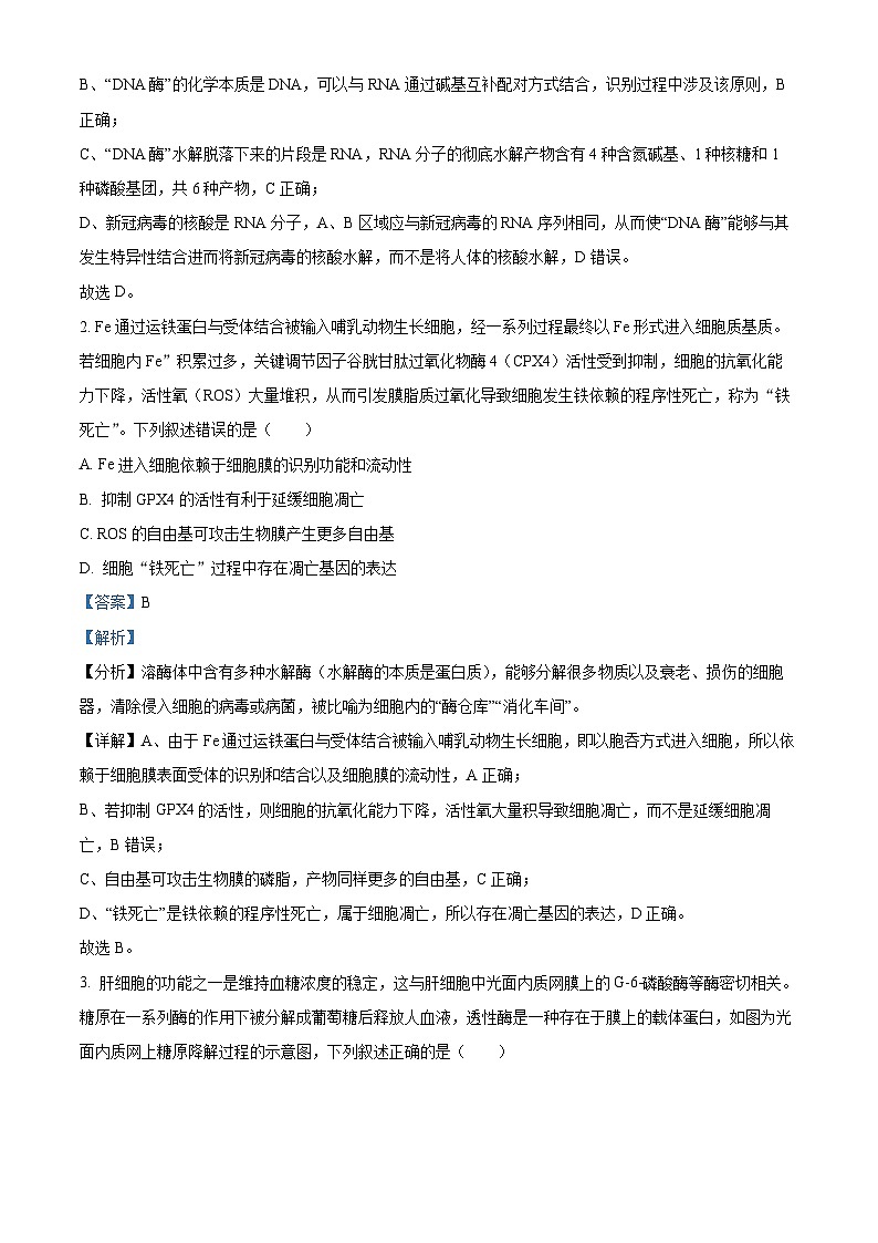 重庆市一中2022-2023学年高三生物下学期2月月考试题（Word版附解析）第2页