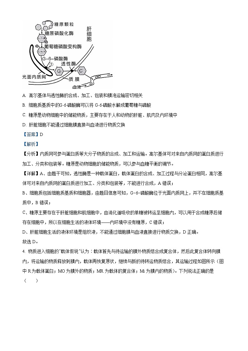 重庆市一中2022-2023学年高三生物下学期2月月考试题（Word版附解析）第3页