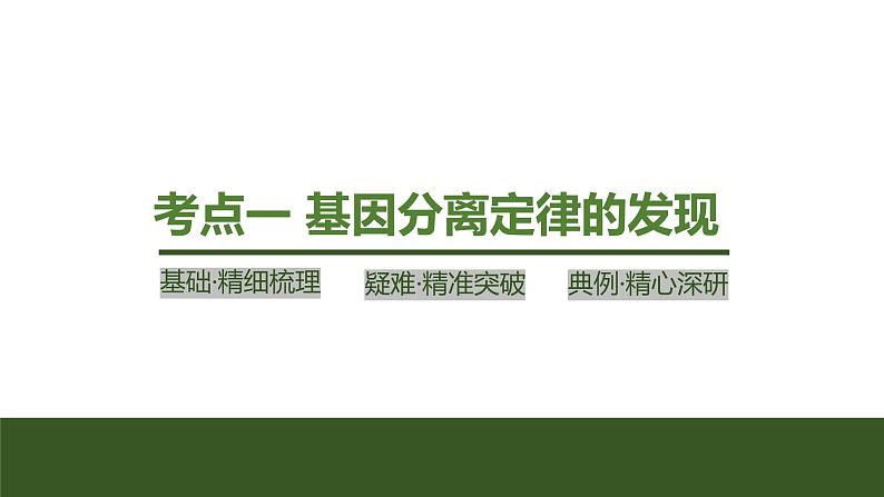 2024年高考生物大一轮必修2复习课件：第15讲　基因的分离定律第4页