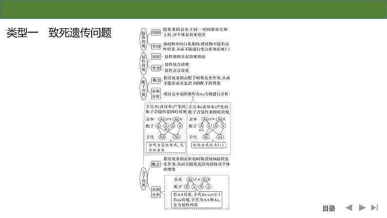 2024年高考生物大一轮必修2复习课件：第16讲　分离定律遗传特例全扫描第3页