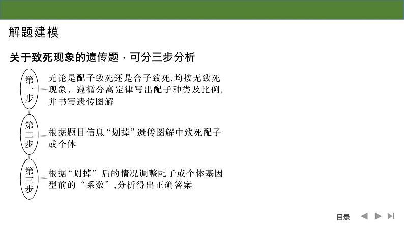 2024年高考生物大一轮必修2复习课件：第16讲　分离定律遗传特例全扫描第6页