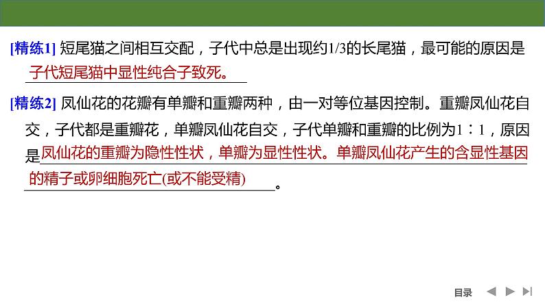 2024年高考生物大一轮必修2复习课件：第16讲　分离定律遗传特例全扫描第7页