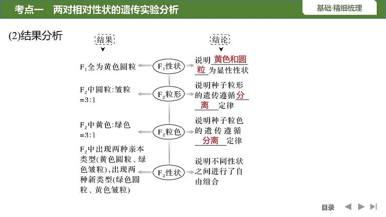 2024年高考生物大一轮必修2复习课件：第17讲　基因的自由组合定律第6页