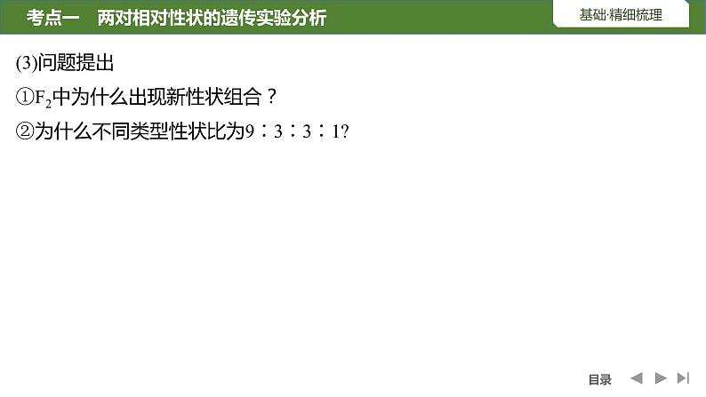 2024年高考生物大一轮必修2复习课件：第17讲　基因的自由组合定律第7页