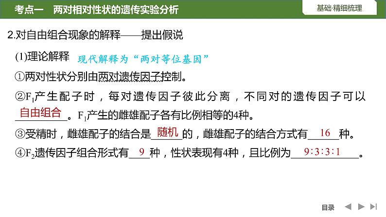 2024年高考生物大一轮必修2复习课件：第17讲　基因的自由组合定律第8页