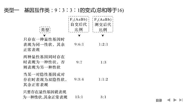 2024年高考生物大一轮必修2复习课件：第18讲　基因的自由组合定律的遗传特例分析03