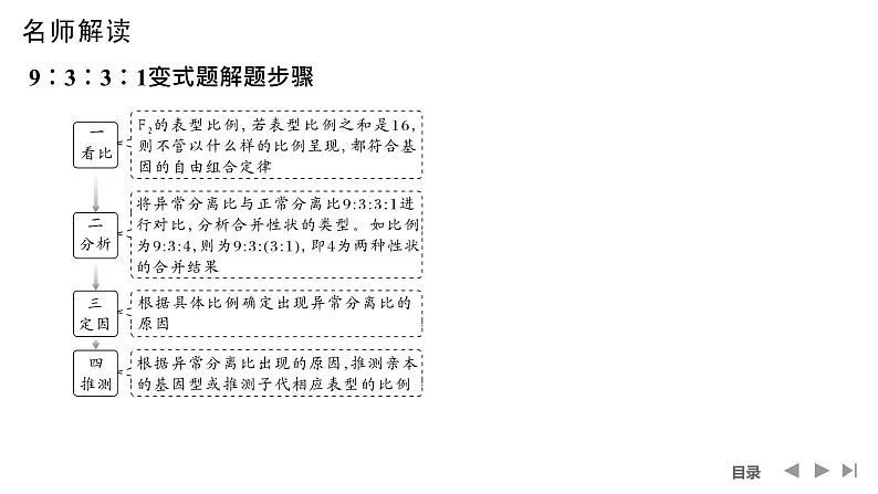 2024年高考生物大一轮必修2复习课件：第18讲　基因的自由组合定律的遗传特例分析04