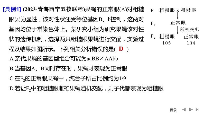 2024年高考生物大一轮必修2复习课件：第18讲　基因的自由组合定律的遗传特例分析05