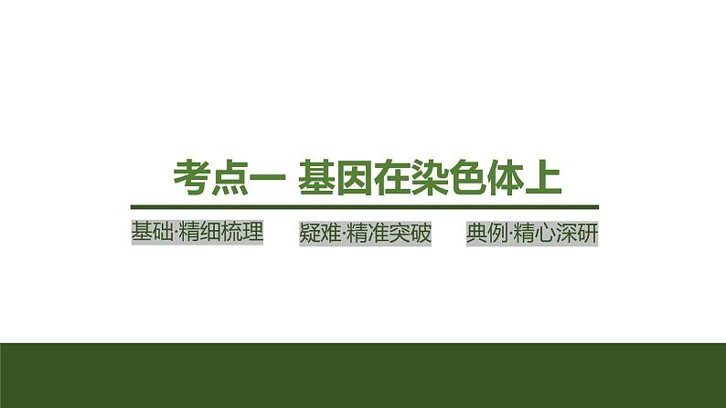 2024年高考生物大一轮必修2复习课件：第19讲　基因在染色体上、伴性遗传第4页