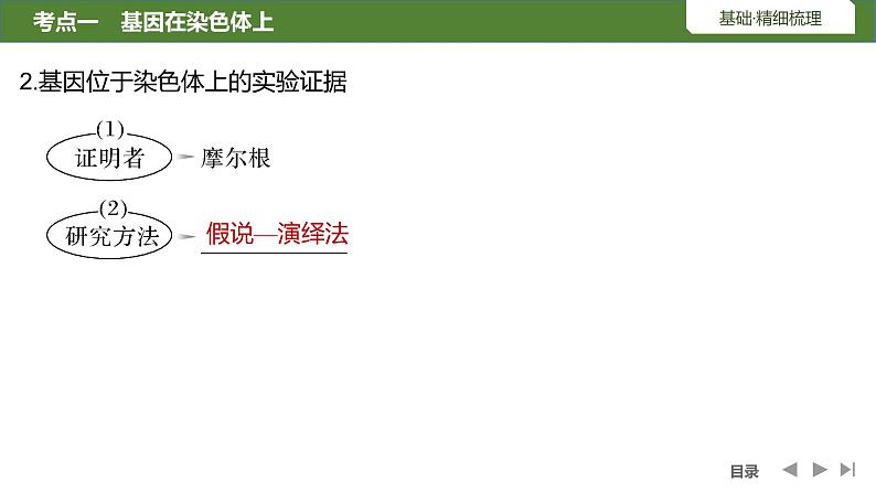 2024年高考生物大一轮必修2复习课件：第19讲　基因在染色体上、伴性遗传第6页