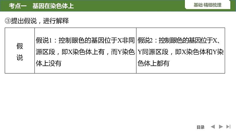 2024年高考生物大一轮必修2复习课件：第19讲　基因在染色体上、伴性遗传第8页