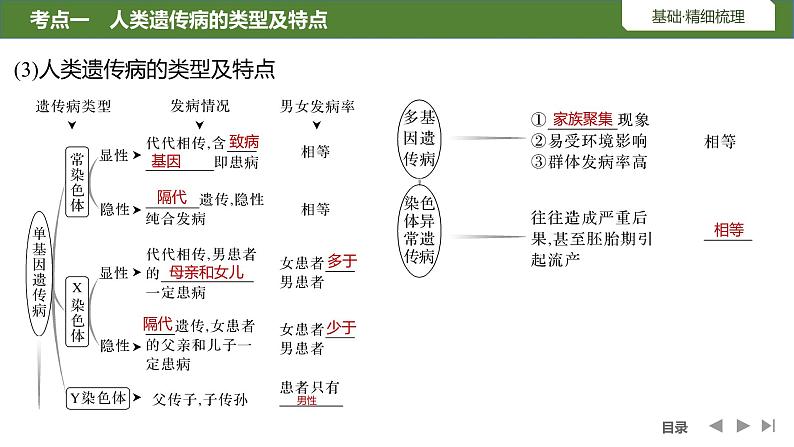 2024年高考生物大一轮必修2复习课件：第20讲　人类遗传病第7页