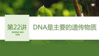 2024年高考生物大一轮必修2复习课件：第22讲　DNA是主要的遗传物质