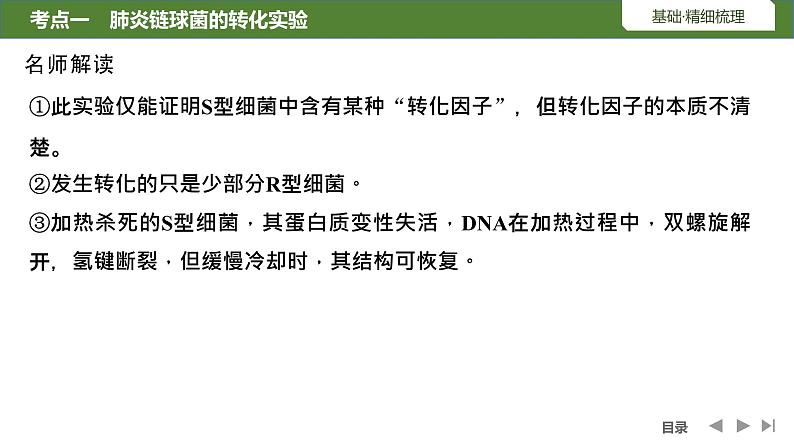 2024年高考生物大一轮必修2复习课件：第22讲　DNA是主要的遗传物质08