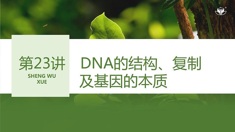 2024年高考生物大一轮必修2复习课件：第23讲　DNA的结构、复制及基因的本质第1页