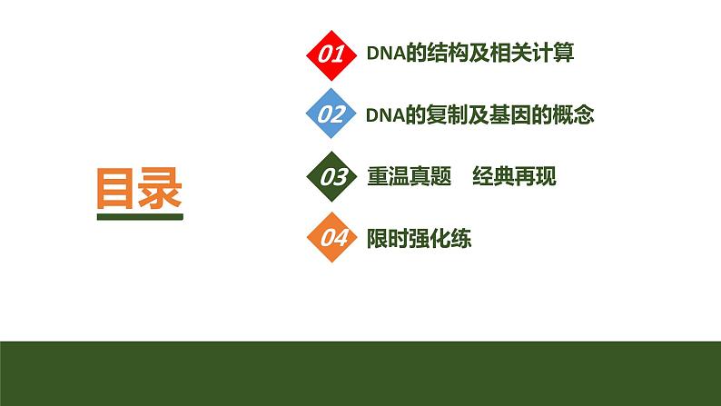 2024年高考生物大一轮必修2复习课件：第23讲　DNA的结构、复制及基因的本质第3页