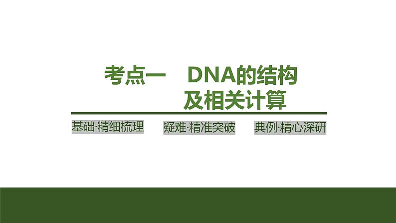 2024年高考生物大一轮必修2复习课件：第23讲　DNA的结构、复制及基因的本质第4页