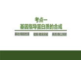 2024年高考生物大一轮必修2复习课件：第24讲　基因的表达