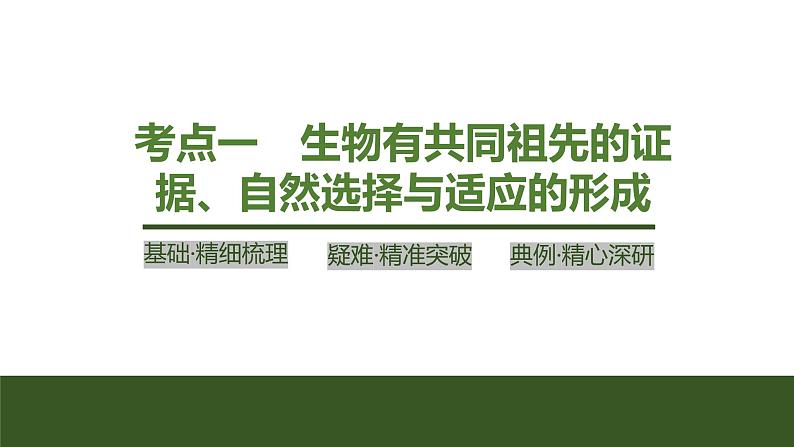 2024年高考生物大一轮必修2复习课件：第28讲　生物的进化第4页