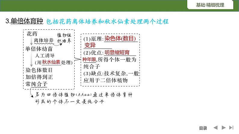 2024年高考生物大一轮必修2复习课件：第27讲　生物变异在育种上的应用第6页