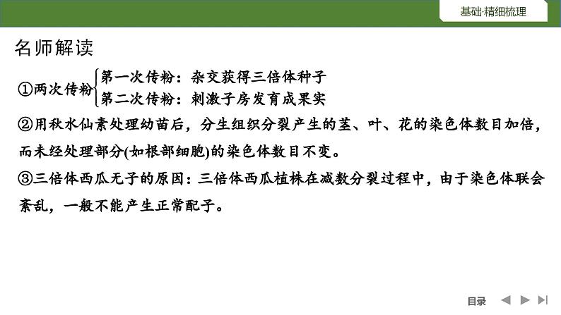 2024年高考生物大一轮必修2复习课件：第27讲　生物变异在育种上的应用第8页