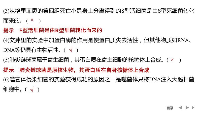 2024年高考生物大一轮必修2复习课件：阶段排查 回扣落实(五)第3页