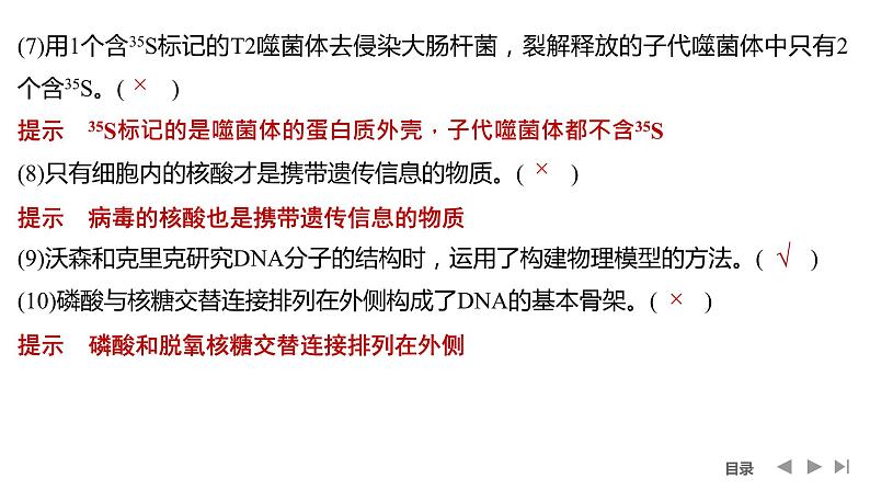 2024年高考生物大一轮必修2复习课件：阶段排查 回扣落实(五)第4页