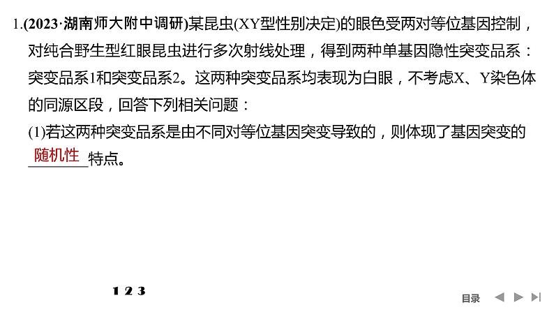 2024年高考生物大一轮必修2复习课件：热点微练5 攻克生物变异的实验探究题第2页