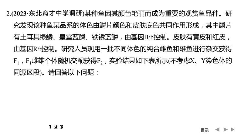 2024年高考生物大一轮必修2复习课件：热点微练5 攻克生物变异的实验探究题第7页