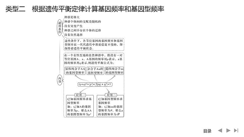 2024年高考生物大一轮必修2复习课件：微专题6 基因频率与基因型频率的计算第6页