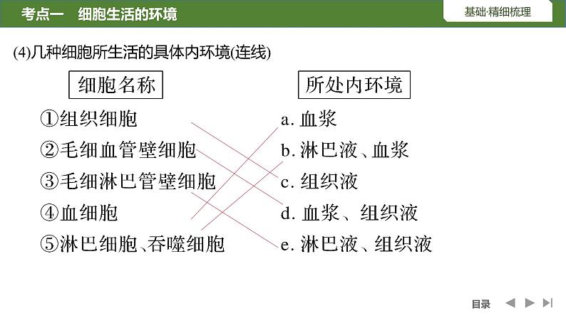 2024年高考生物大一轮选择性必修1复习课件：第29讲　人体的内环境与稳态第7页