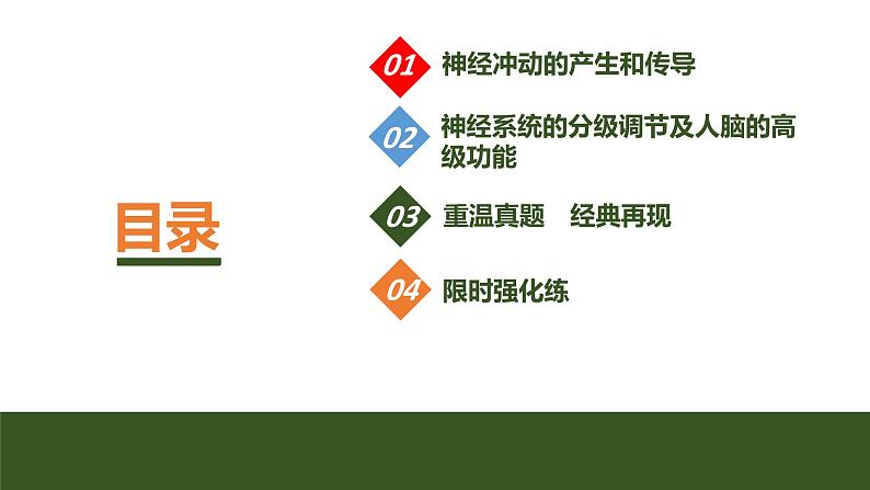 2024年高考生物大一轮选择性必修1复习课件：第31讲　神经冲动的产生和传导及神经系统的分级调节第3页